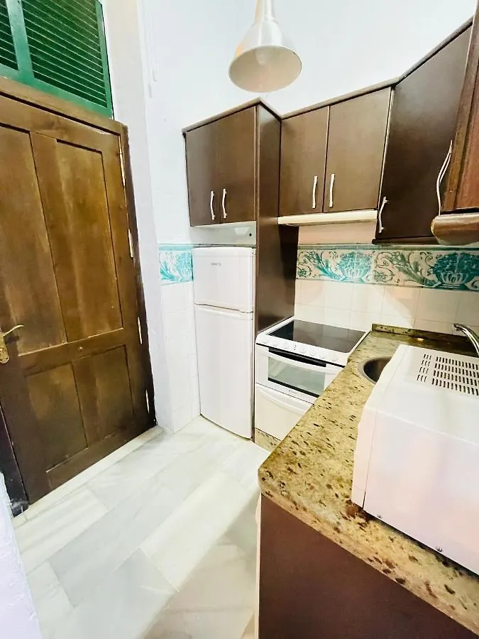 Dona Elvira Alvarez Malaga Apartment